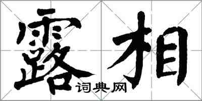 翁闓運露相楷書怎么寫