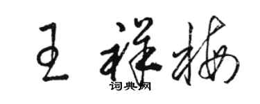 駱恆光王祥梅草書個性簽名怎么寫