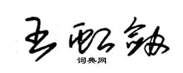 朱錫榮王虹劍草書個性簽名怎么寫