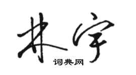 駱恆光林宇草書個性簽名怎么寫