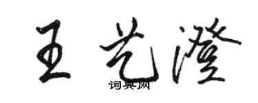 駱恆光王藝澄行書個性簽名怎么寫