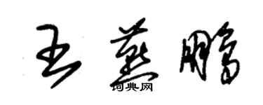 朱錫榮王燕鵬草書個性簽名怎么寫