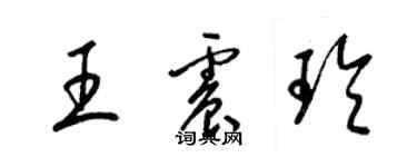 梁錦英王震玲草書個性簽名怎么寫