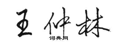 駱恆光王仲林行書個性簽名怎么寫