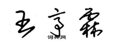 朱錫榮王亭霖草書個性簽名怎么寫