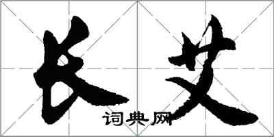 胡問遂長艾行書怎么寫