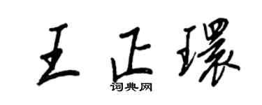 王正良王正環行書個性簽名怎么寫