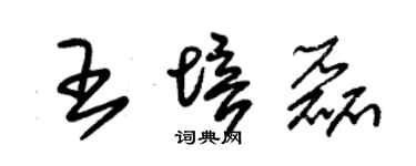朱錫榮王培磊草書個性簽名怎么寫
