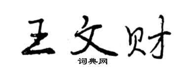 曾慶福王文財行書個性簽名怎么寫