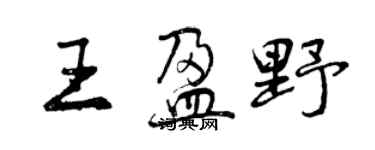 曾慶福王盈野行書個性簽名怎么寫