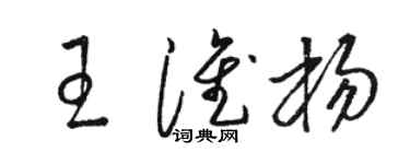 駱恆光王淮楊草書個性簽名怎么寫