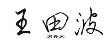 駱恆光王田波行書個性簽名怎么寫