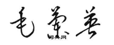 駱恆光毛蘭英草書個性簽名怎么寫