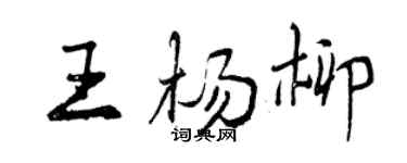 曾慶福王楊柳行書個性簽名怎么寫