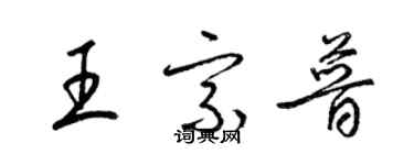 梁錦英王宗普草書個性簽名怎么寫