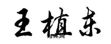 胡問遂王植東行書個性簽名怎么寫