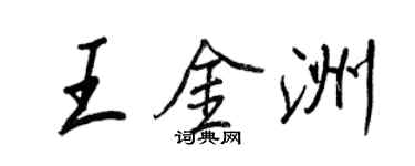 王正良王金洲行書個性簽名怎么寫