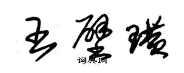 朱錫榮王壁璜草書個性簽名怎么寫