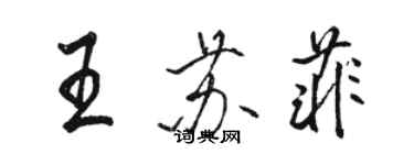 駱恆光王蘇菲行書個性簽名怎么寫