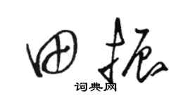 駱恆光田振草書個性簽名怎么寫