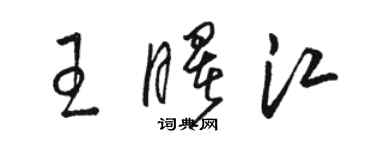 駱恆光王曙江草書個性簽名怎么寫