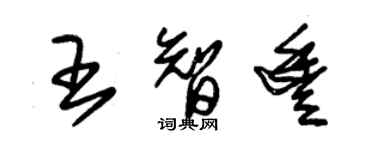 朱錫榮王智豐草書個性簽名怎么寫