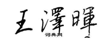 王正良王澤暉行書個性簽名怎么寫