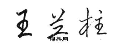 駱恆光王蘭柱行書個性簽名怎么寫