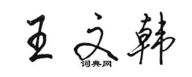 駱恆光王文韓行書個性簽名怎么寫