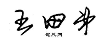 朱錫榮王田弟草書個性簽名怎么寫