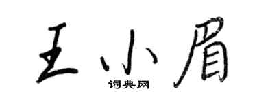 王正良王小眉行書個性簽名怎么寫