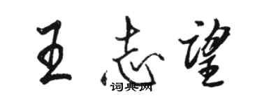 駱恆光王志望行書個性簽名怎么寫