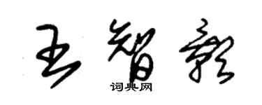 朱錫榮王智影草書個性簽名怎么寫