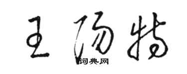 駱恆光王陽特草書個性簽名怎么寫