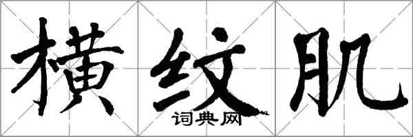 翁闓運橫紋肌楷書怎么寫