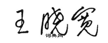 駱恆光王曉寬草書個性簽名怎么寫