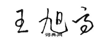 駱恆光王旭高草書個性簽名怎么寫