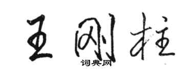 駱恆光王剛柱行書個性簽名怎么寫