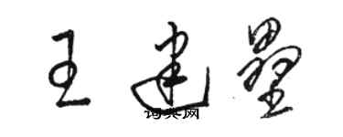 駱恆光王建壘草書個性簽名怎么寫