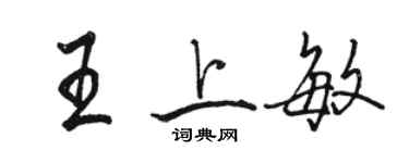 駱恆光王上敏行書個性簽名怎么寫