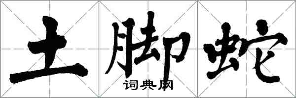 翁闓運土腳蛇楷書怎么寫