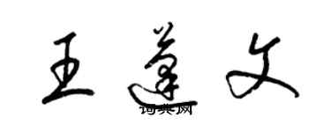 梁錦英王蓬文草書個性簽名怎么寫