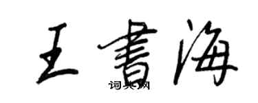 王正良王書海行書個性簽名怎么寫