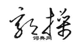駱恆光郭操草書個性簽名怎么寫