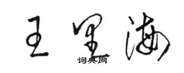 駱恆光王裏海草書個性簽名怎么寫