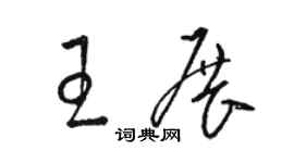 駱恆光王展草書個性簽名怎么寫