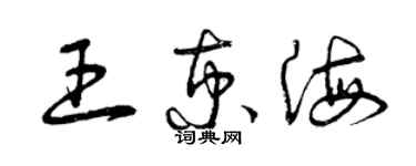 曾慶福王京海草書個性簽名怎么寫