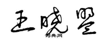 曾慶福王曉盟草書個性簽名怎么寫