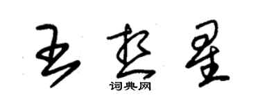 朱錫榮王想星草書個性簽名怎么寫