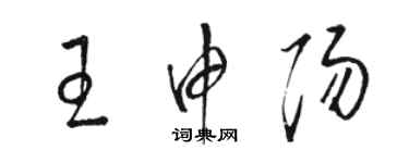 駱恆光王申陽草書個性簽名怎么寫